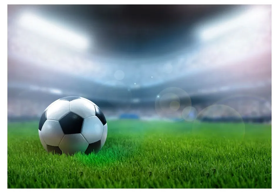 Fototapeta - Mistrzostwa Świata-2