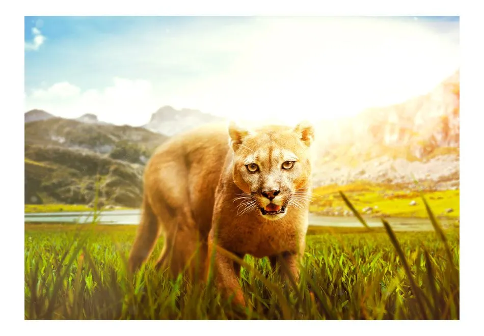 Fototapeta - Watch out!-2