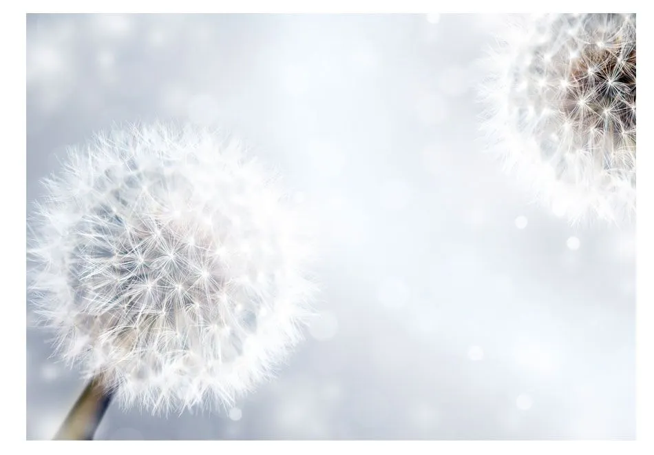 Fototapeta - Nieprzewidywalne momenty-2