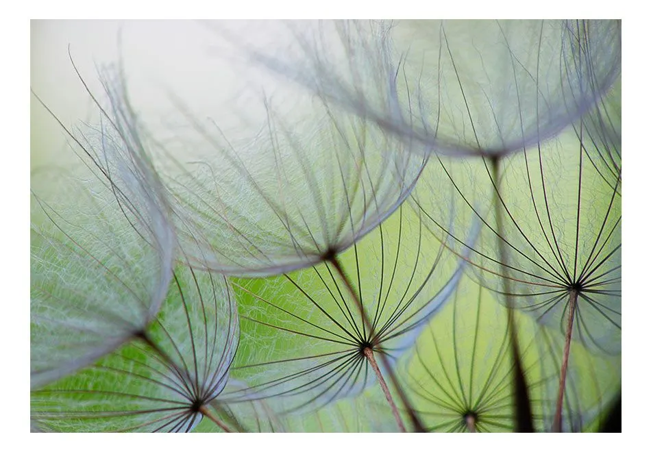 Fototapeta - Chwile ulotne-2