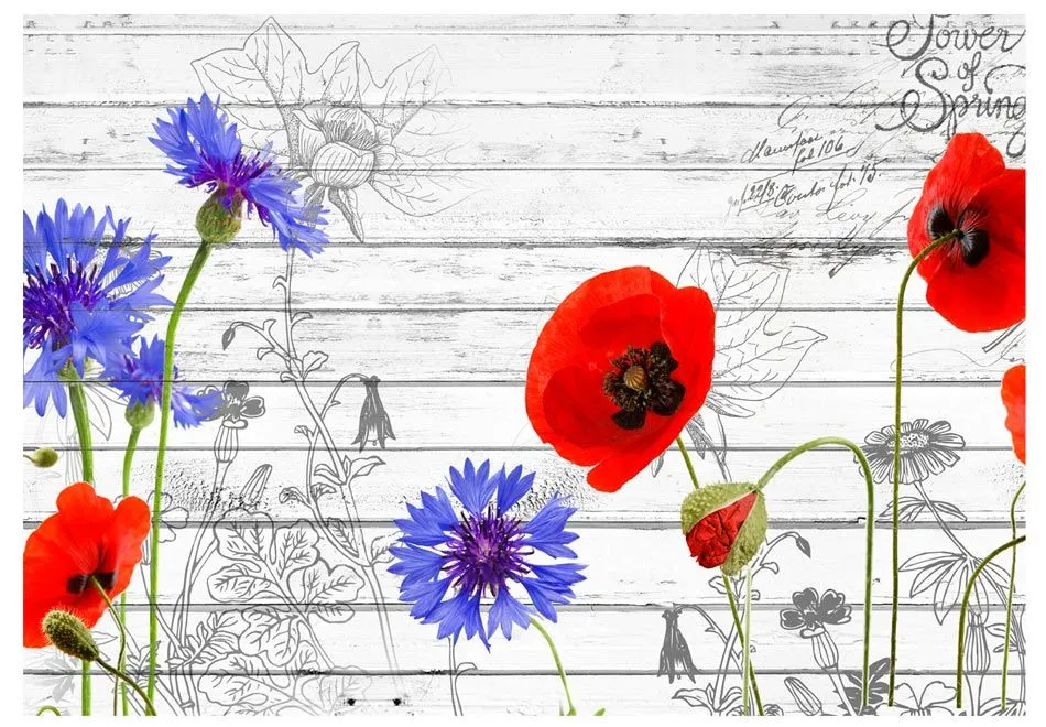 Fototapeta - Polne kwiaty-2