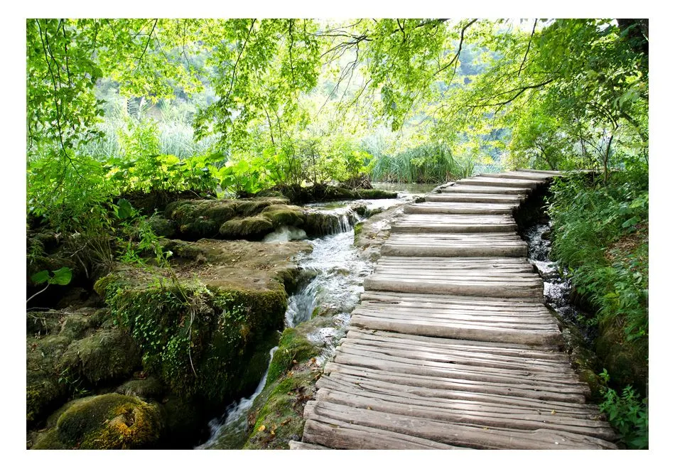 Fototapeta - Leśna ścieżka-2