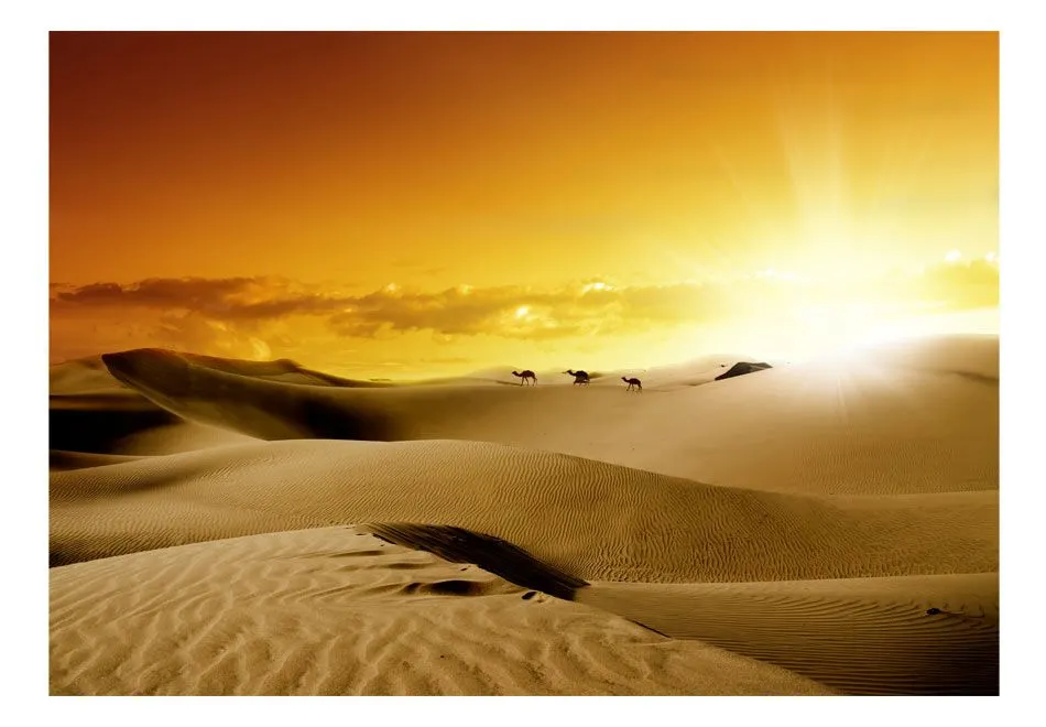 Fototapeta - Marsz wielbłądów-2