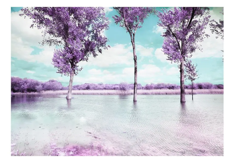 Fototapeta - Wrzosowy pejzaż-2