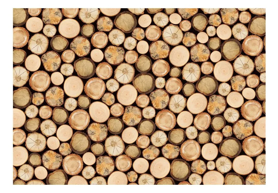 Fototapeta - W tartaku-2