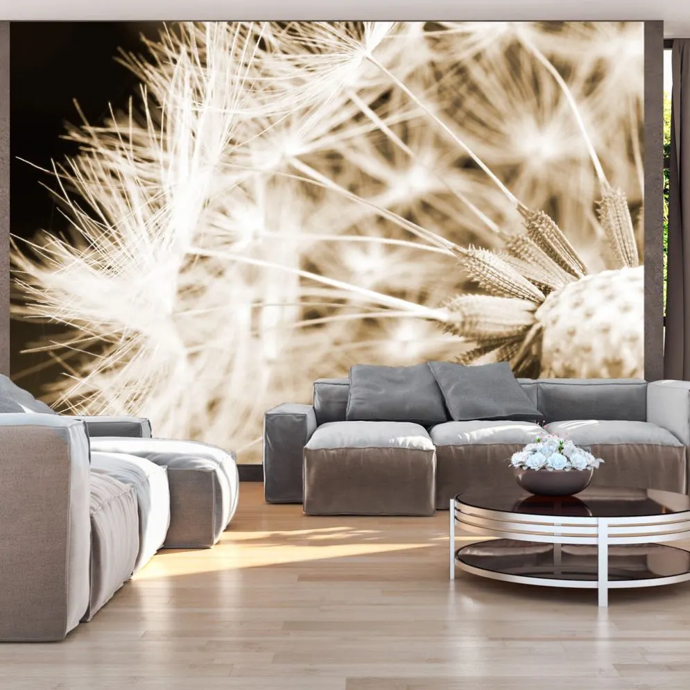 Fototapeta - Dmuchawiec - sepia-1