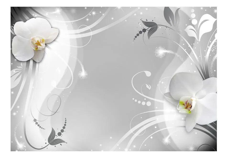 Fototapeta - Czarująca orchidea-2