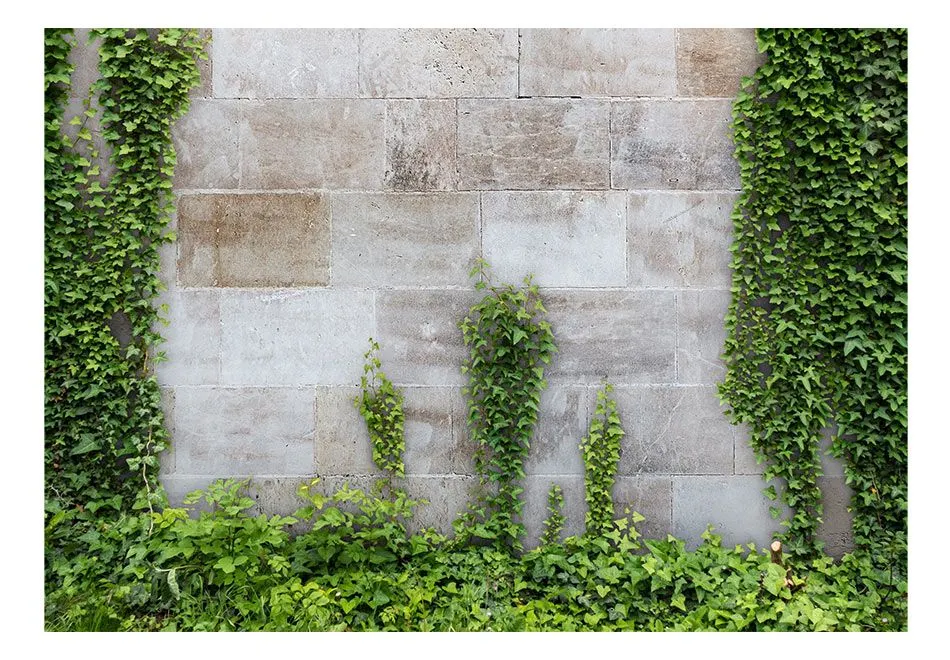 Fototapeta - Zapomniany ogród-2