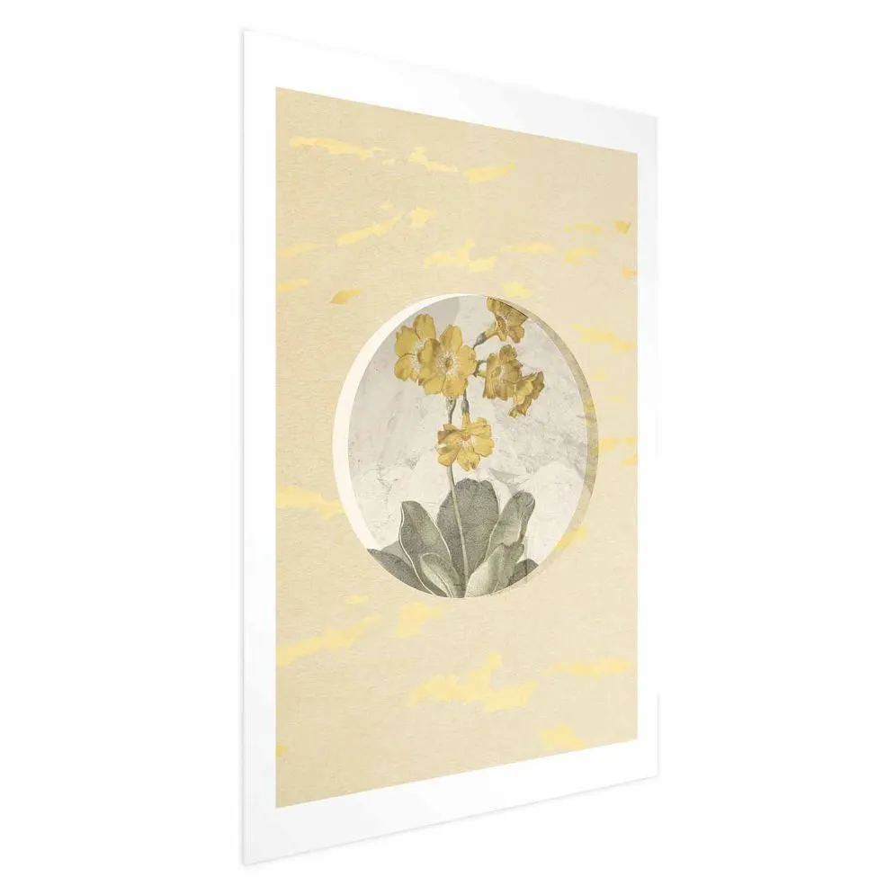 Plakat Kwiat w kole 21x30 cm bez ramy z marginesem | MIRAT.