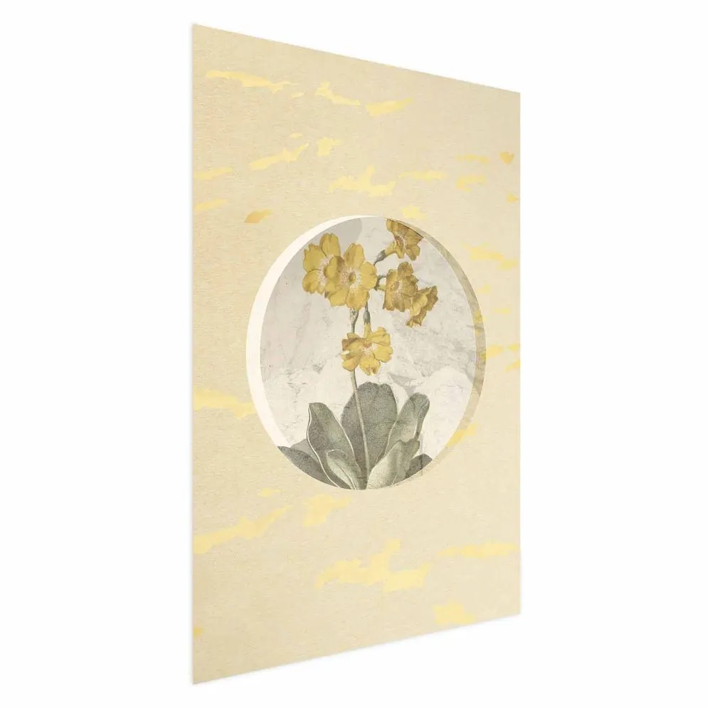 Plakat Kwiat w kole 60x90 cm bez ramy bez marginesu | MIRAT.