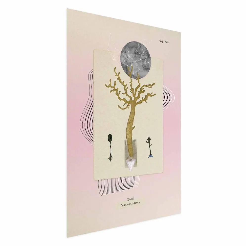 Plakat Niezwykła roślina 29,7x42 cm bez ramy bez marginesu | MIRAT.