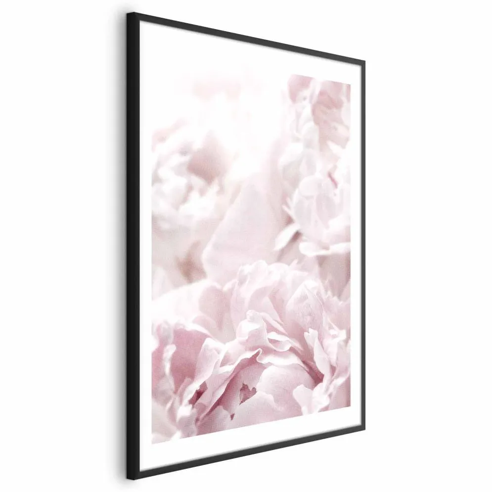 Plakat Puszyste peonie 21x30 cm z ramą czarną z marginesem | MIRAT.