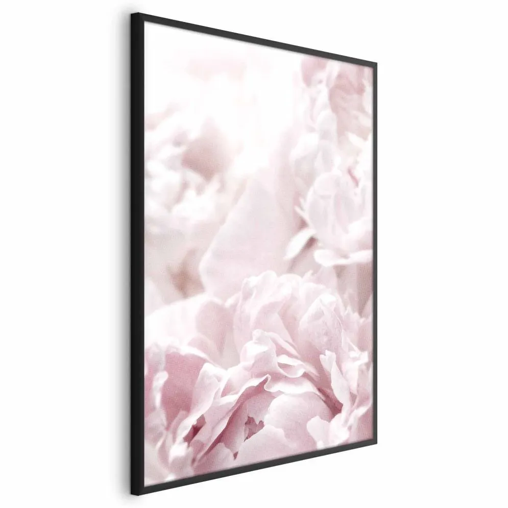 Plakat Puszyste peonie 21x30 cm z ramą czarną bez marginesu | MIRAT.