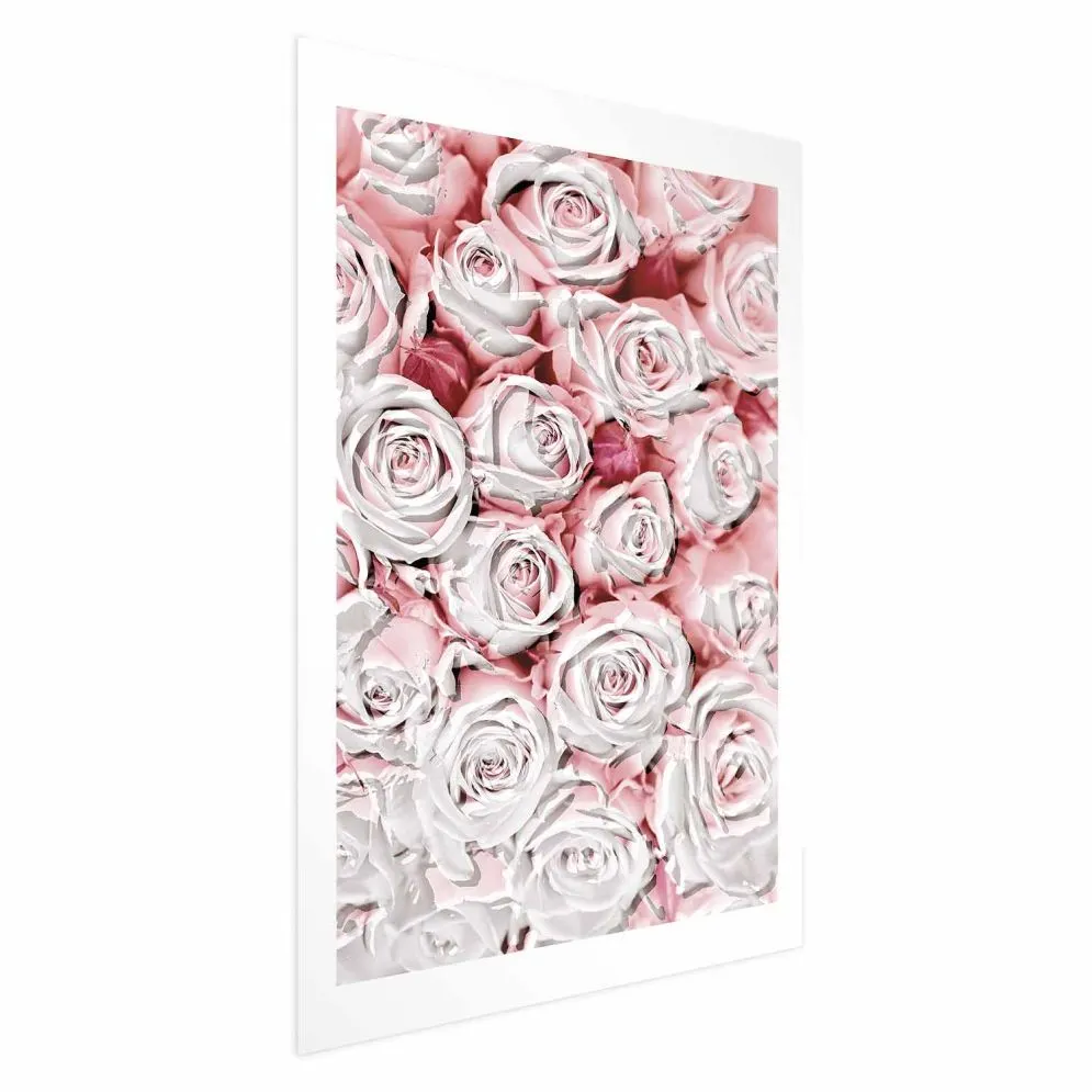Plakat Białe róże 29,7x42 cm bez ramy z marginesem | MIRAT.