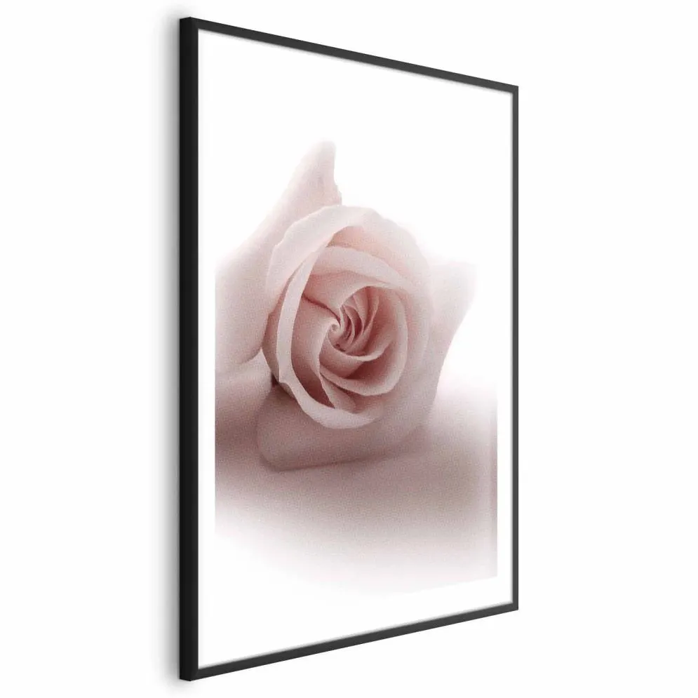 Plakat Różany cień 29,7x42 cm z ramą czarną z marginesem | MIRAT.