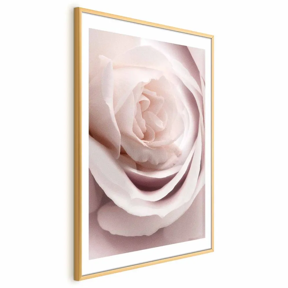Plakat Porcelanowa róża 60x90 cm z ramą złotą z marginesem | MIRAT.