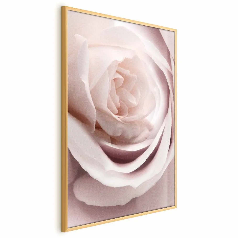 Plakat Porcelanowa róża 40x60 cm z ramą złotą bez marginesu | MIRAT.