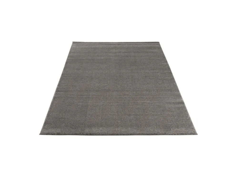 Dywan CARLICE 160x230 szary do salonu I sklep meblowy MIRAT.