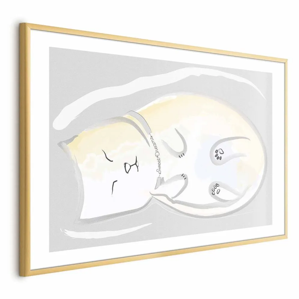 Plakat Śpiący kotek 30x21 cm z ramą złotą z marginesem | MIRAT.