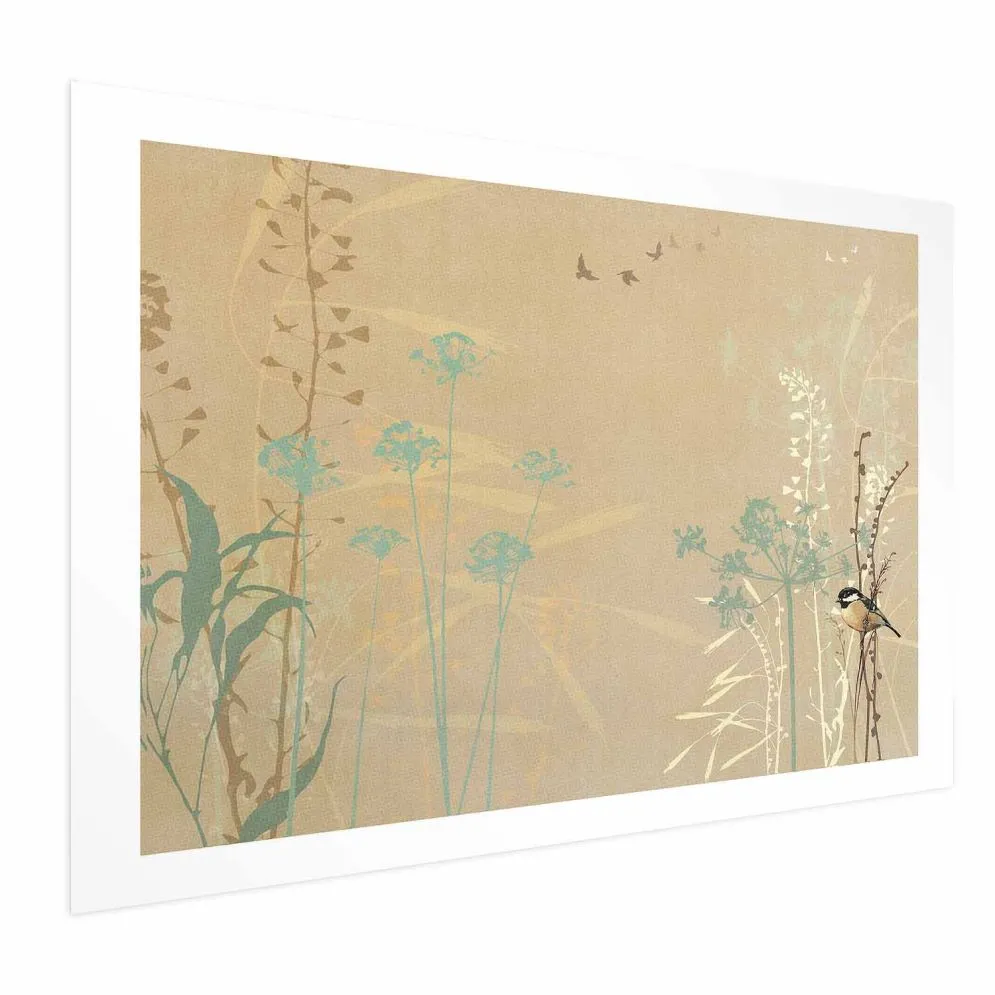 Plakat Ptaszek na łące 42x29,7 cm bez ramy z marginesem | MIRAT.