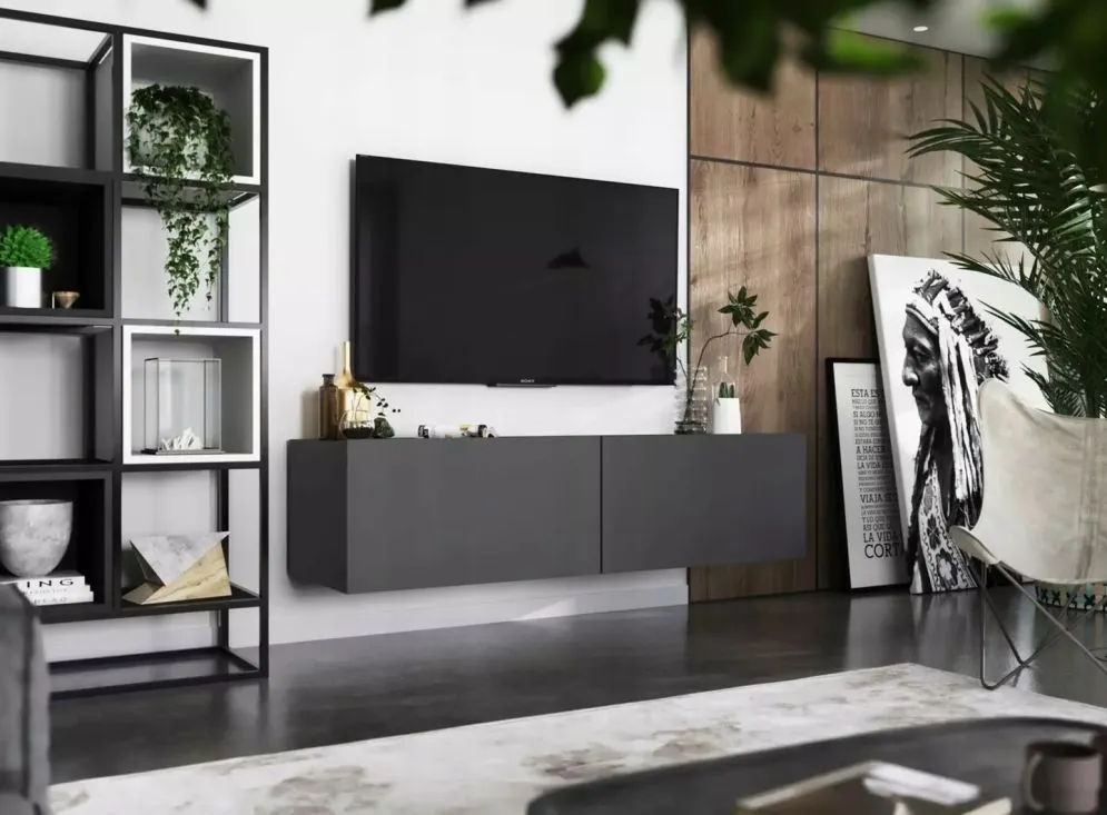 Szafka RTV SELF 2 120 grafitowa mat MEBLE LINDNER | MIRAT. w stylu  kolekcja SELF