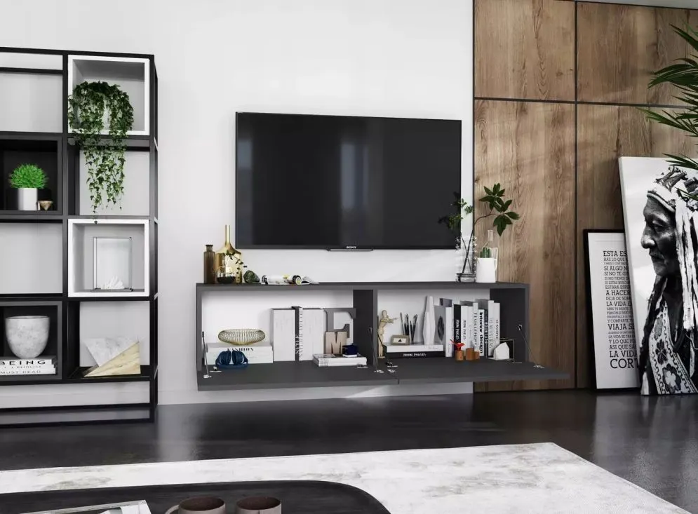 Szafka RTV SELF 2 120 grafitowa mat MEBLE LINDNER | MIRAT. w stylu  kolekcja SELF