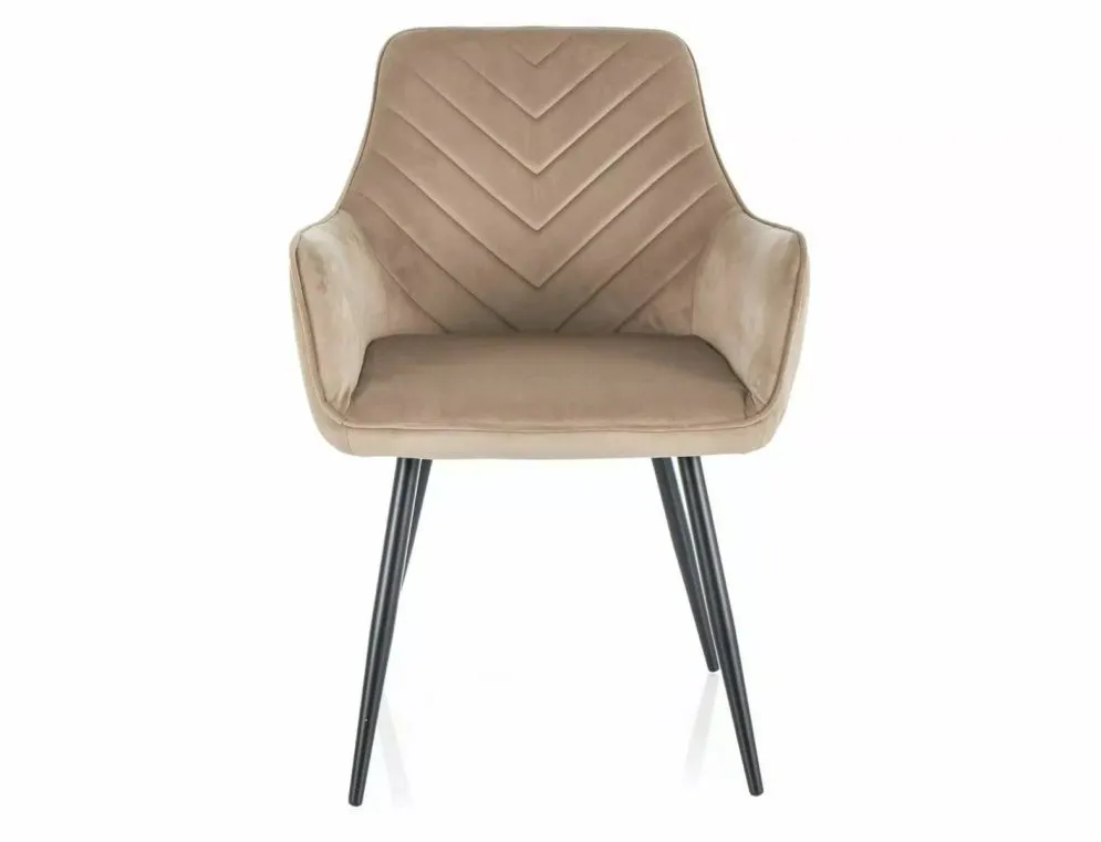 Krzesło tapicerowane FIG VELVET beżowe na metalowych nogach I sklep meblowy MIRAT. styl GLAMOUR