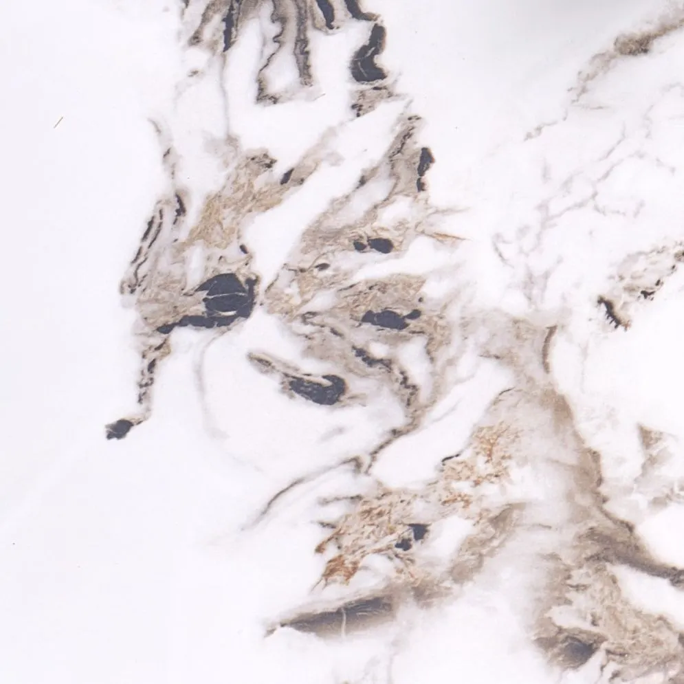 Stół okrągły GARET 120x120 biały marmur/czarny loftowy I sklep meblowy MIRAT.