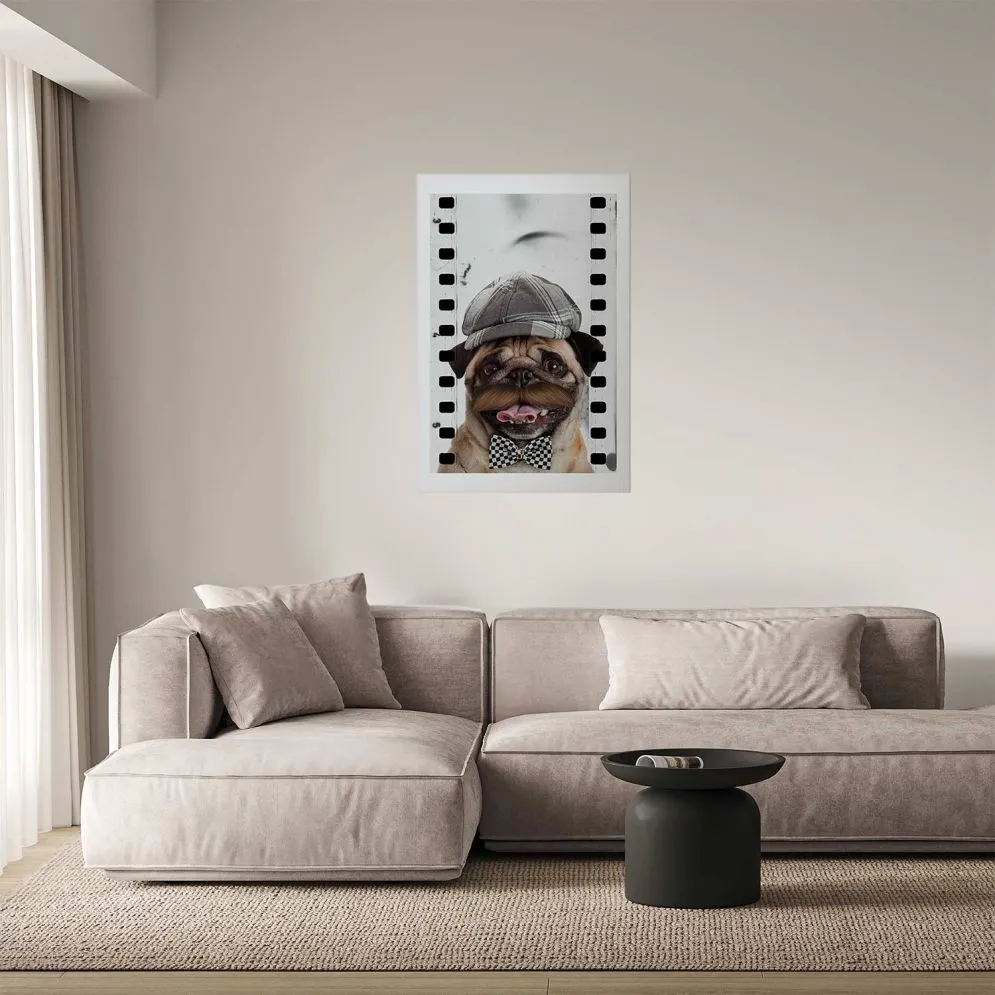 Plakat Mops w czapce 40x60 cm bez ramy z marginesem | MIRAT.