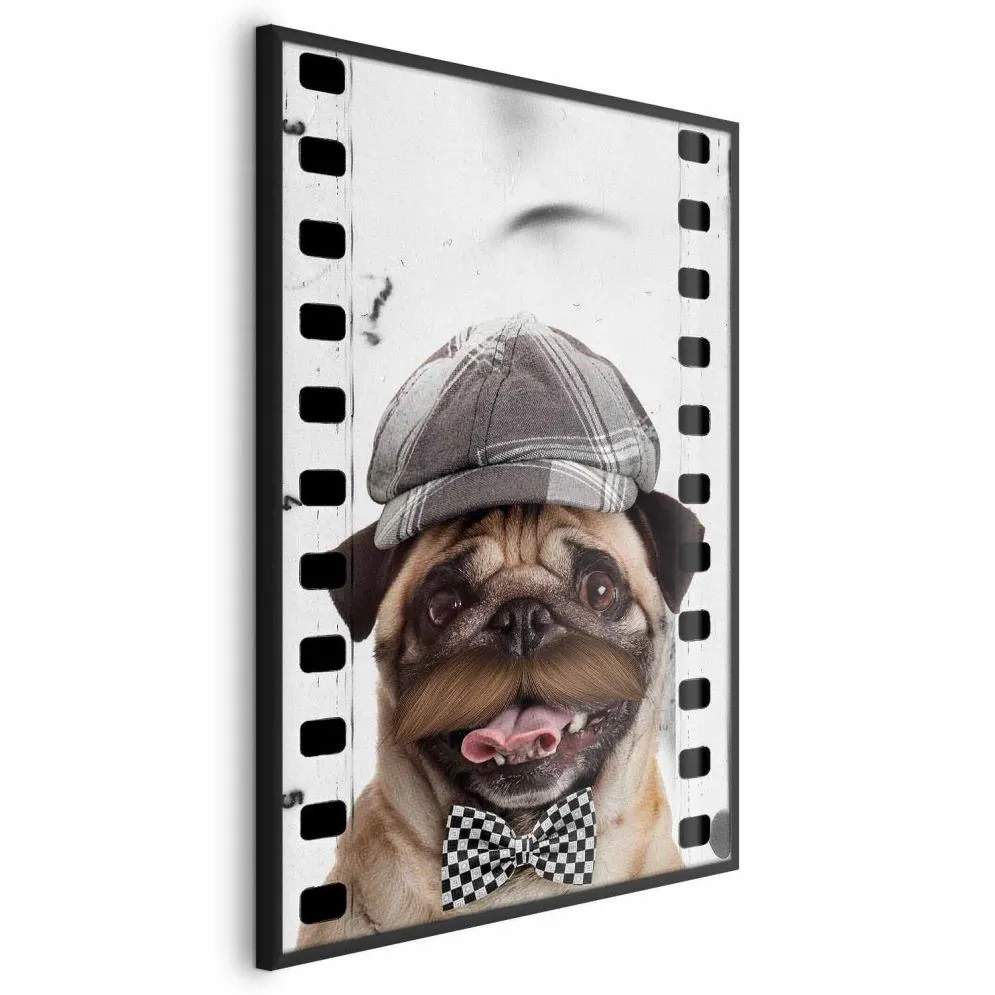 Plakat Mops w czapce 60x90 cm z ramą czarną bez marginesu | MIRAT.