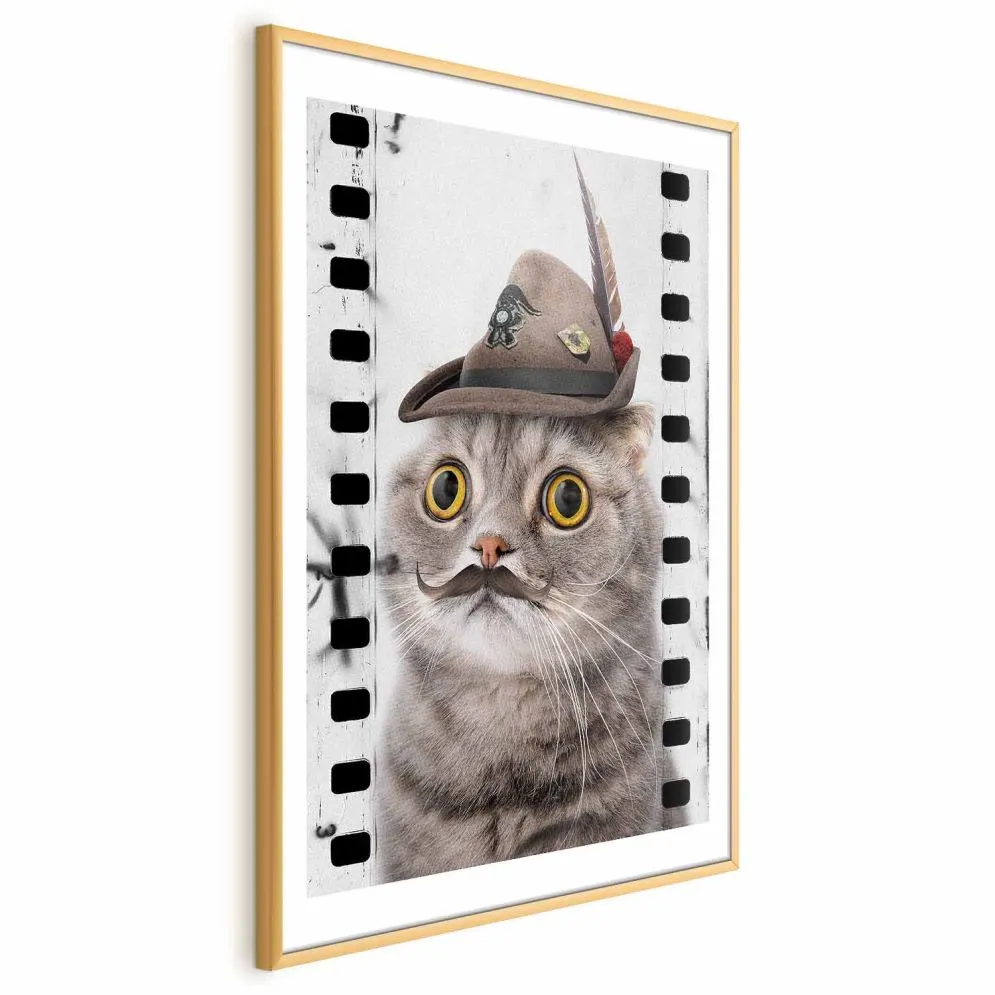 Plakat Kot w kapeluszu 40x60 cm z ramą złotą z marginesem | MIRAT.
