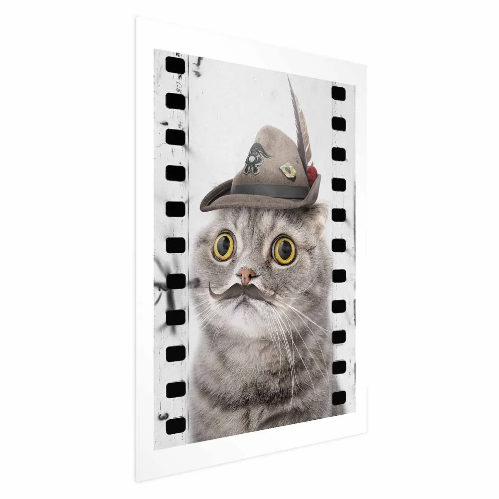 Plakat Kot w kapeluszu 21x30 cm bez ramy z marginesem | MIRAT.