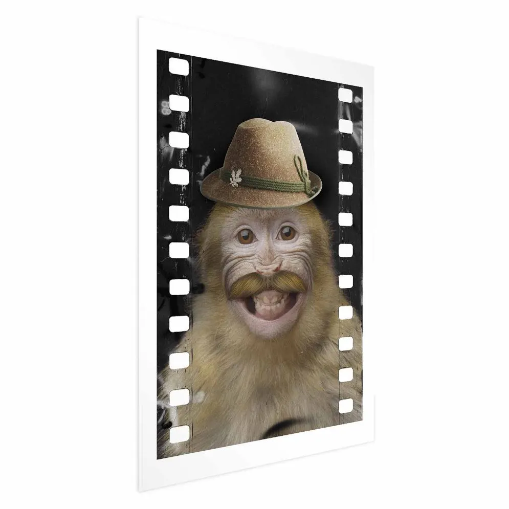 Plakat Małpa w kapeluszu 60x90 cm bez ramy z marginesem | MIRAT.