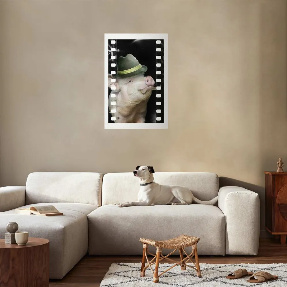 Plakat Świnia z wąsami 40x60 cm bez ramy z marginesem | MIRAT.