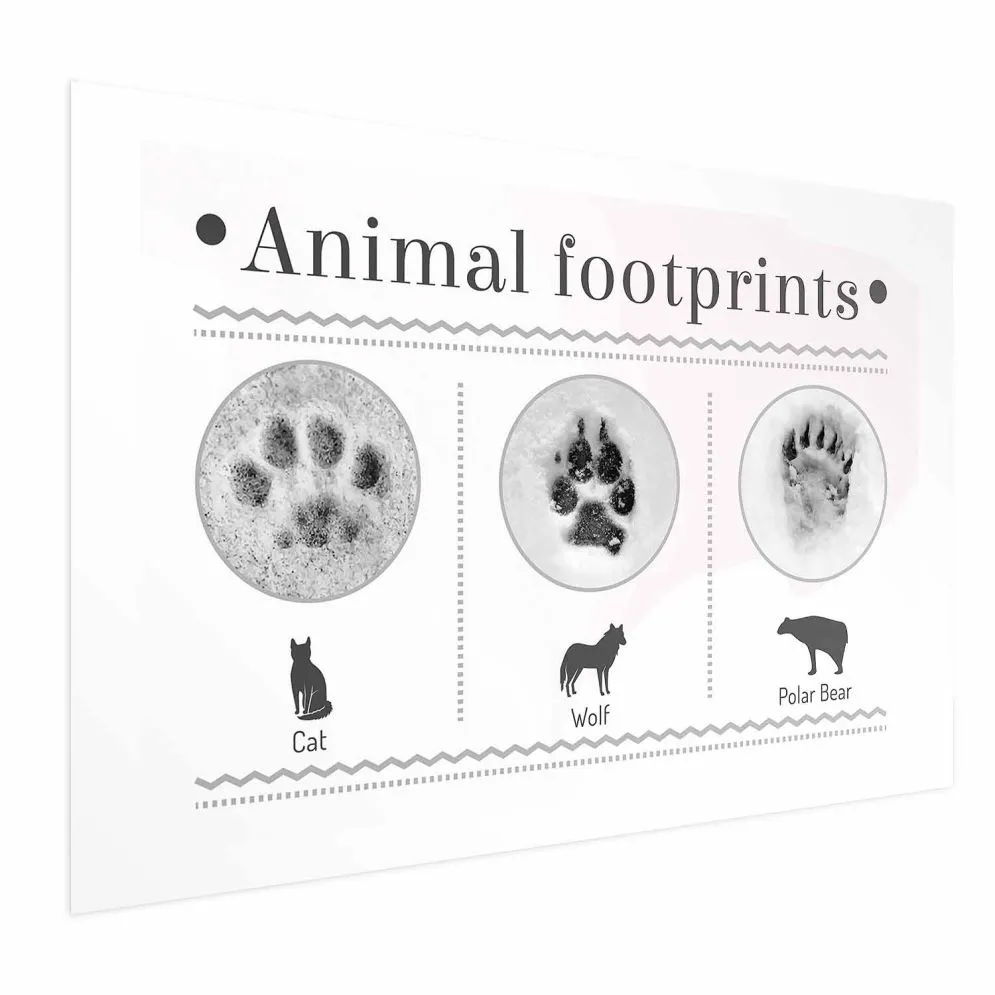 Plakat Ślady łapek 60x40 cm bez ramy z marginesem | MIRAT.