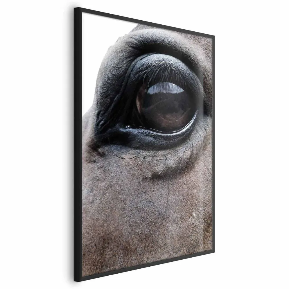 Plakat Szczere oczy 29,7x42 cm z ramą czarną bez marginesu | MIRAT.