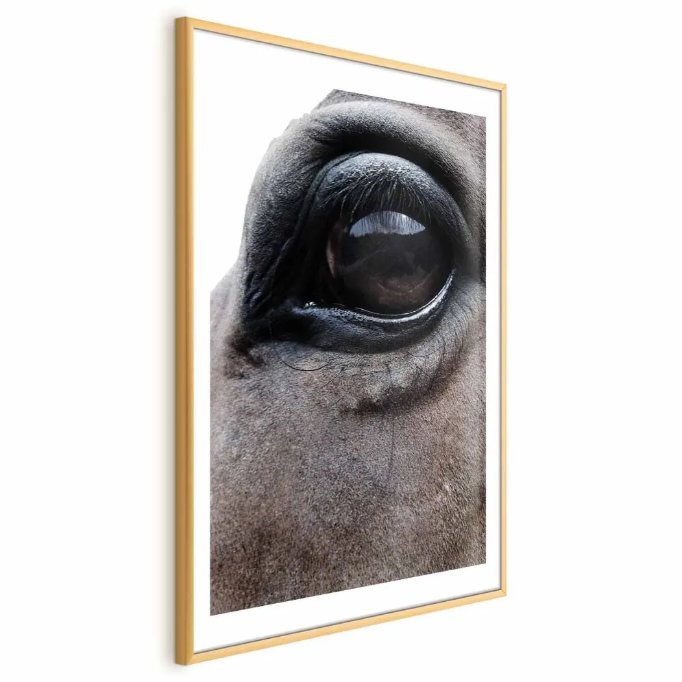 Plakat Szczere oczy 60x90 cm z ramą złotą z marginesem | MIRAT.
