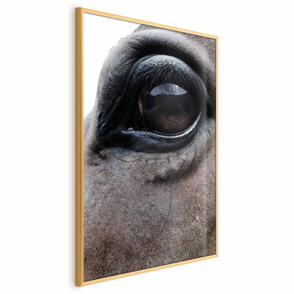 Plakat Szczere oczy 29,7x42 cm z ramą złotą bez marginesu | MIRAT.