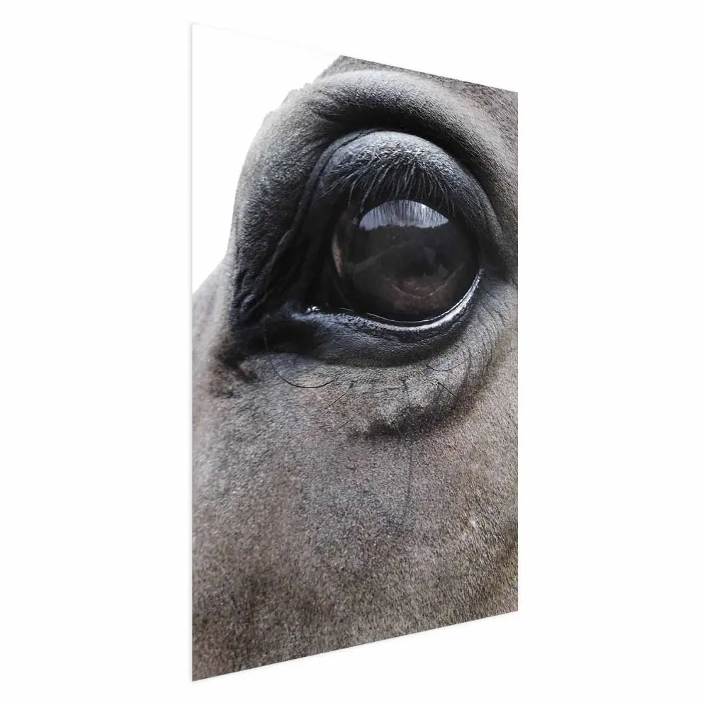 Plakat Szczere oczy 21x30 cm bez ramy bez marginesu | MIRAT.