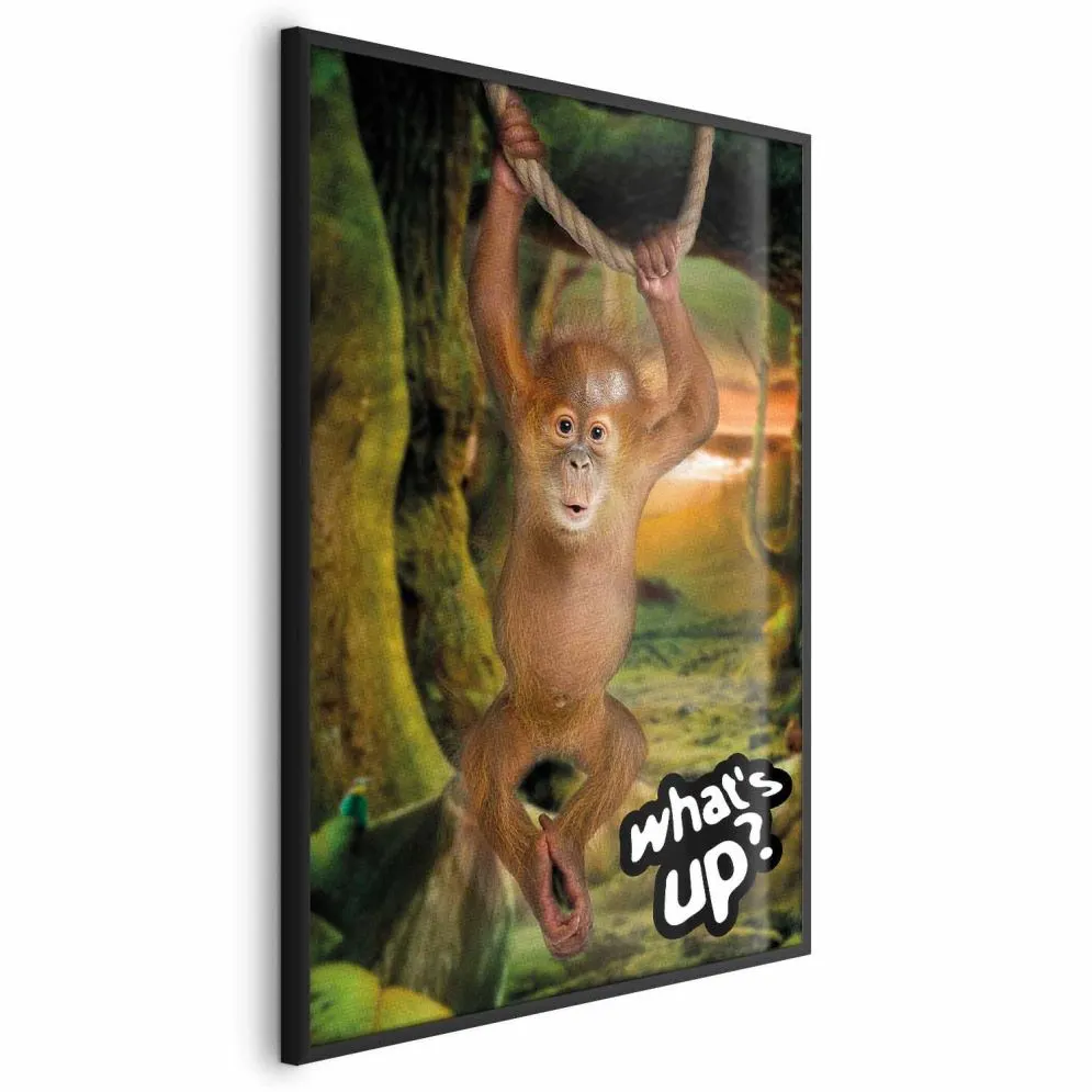 Plakat What's Up 40x60 cm z ramą czarną bez marginesu | MIRAT.
