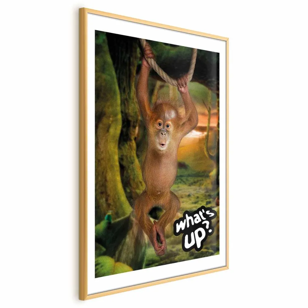 Plakat What's Up 21x30 cm z ramą złotą z marginesem | MIRAT.