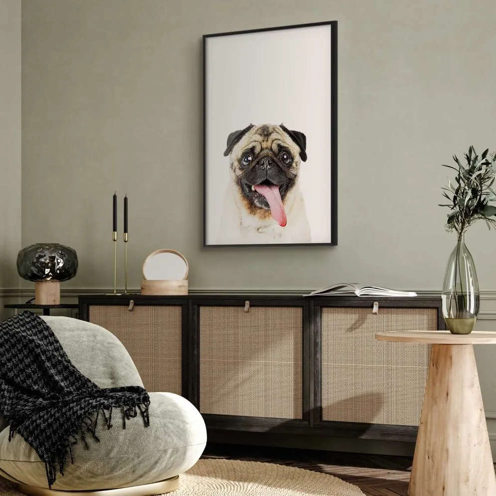 Plakat Mops 40x60 cm z ramą czarną bez marginesu | MIRAT.