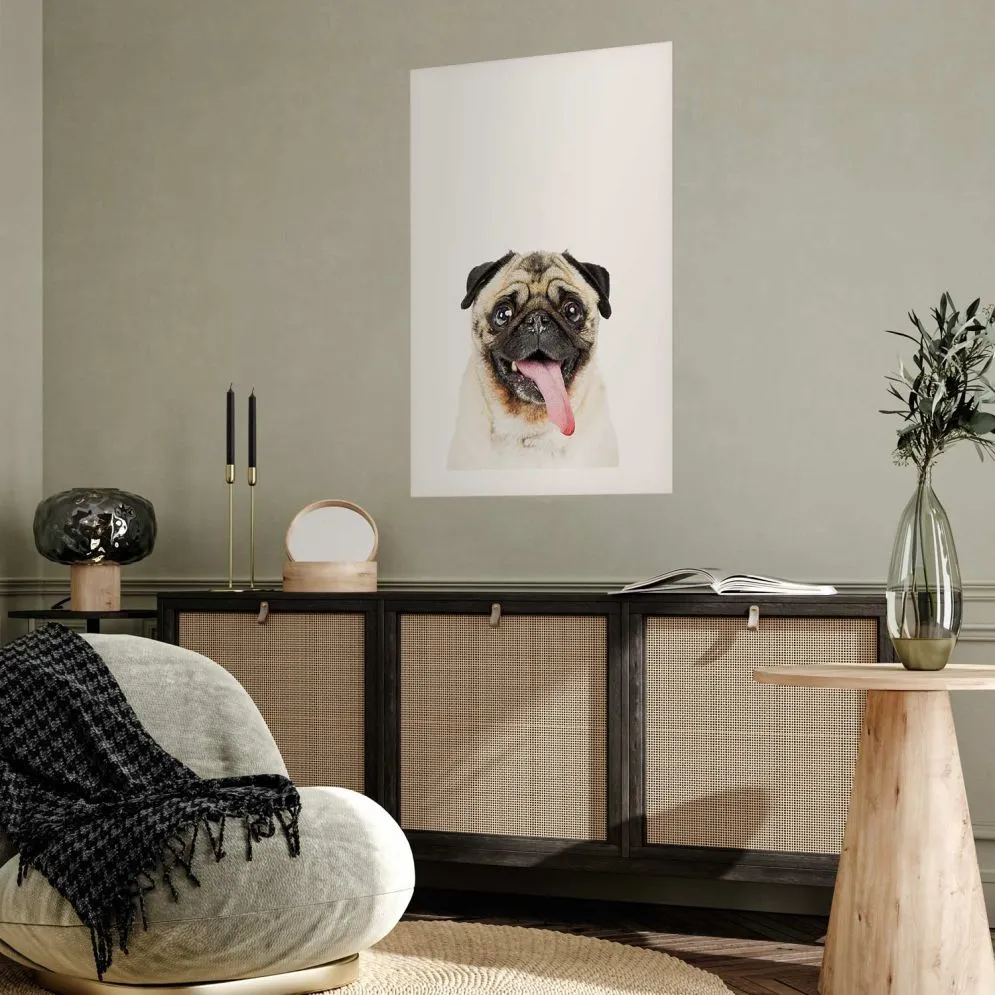 Plakat Mops 21x30 cm bez ramy z marginesem | MIRAT.