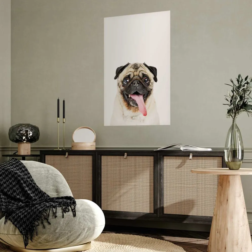 Plakat Mops 40x60 cm bez ramy bez marginesu | MIRAT.