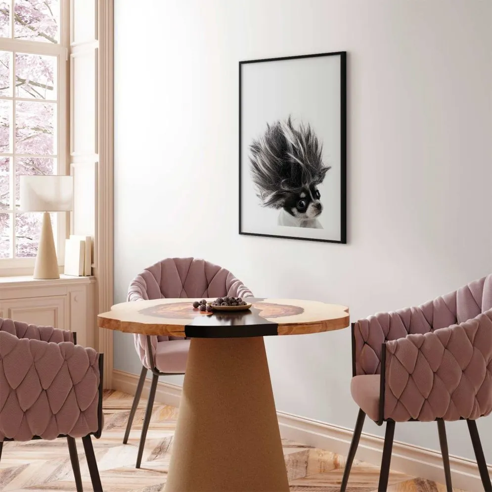 Plakat Chihuahua 21x30 cm z ramą czarną z marginesem | MIRAT.