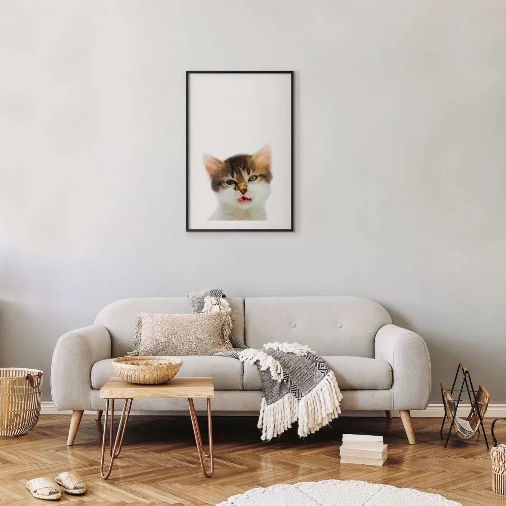 Plakat Zirytowany kot 21x30 cm z ramą czarną z marginesem | MIRAT.