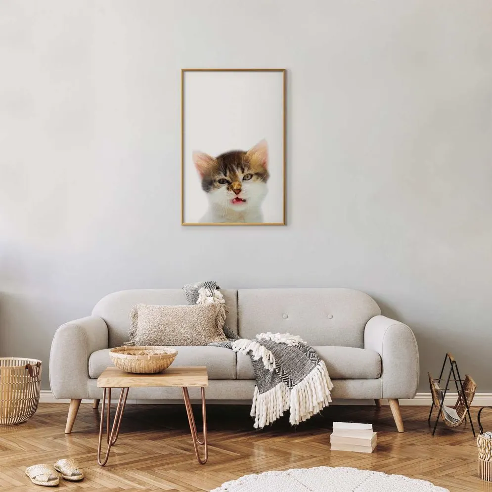 Plakat Zirytowany kot 21x30 cm z ramą złotą bez marginesu | MIRAT.