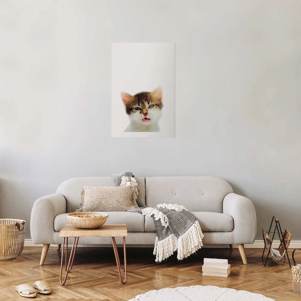 Plakat Zirytowany kot 60x90 cm bez ramy z marginesem | MIRAT.