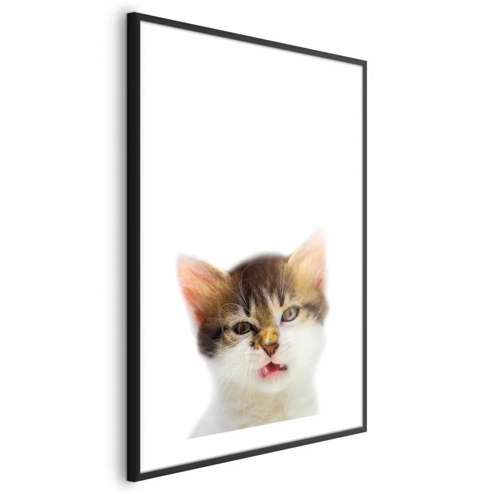 Plakat Zirytowany kot 21x30 cm z ramą czarną z marginesem | MIRAT.