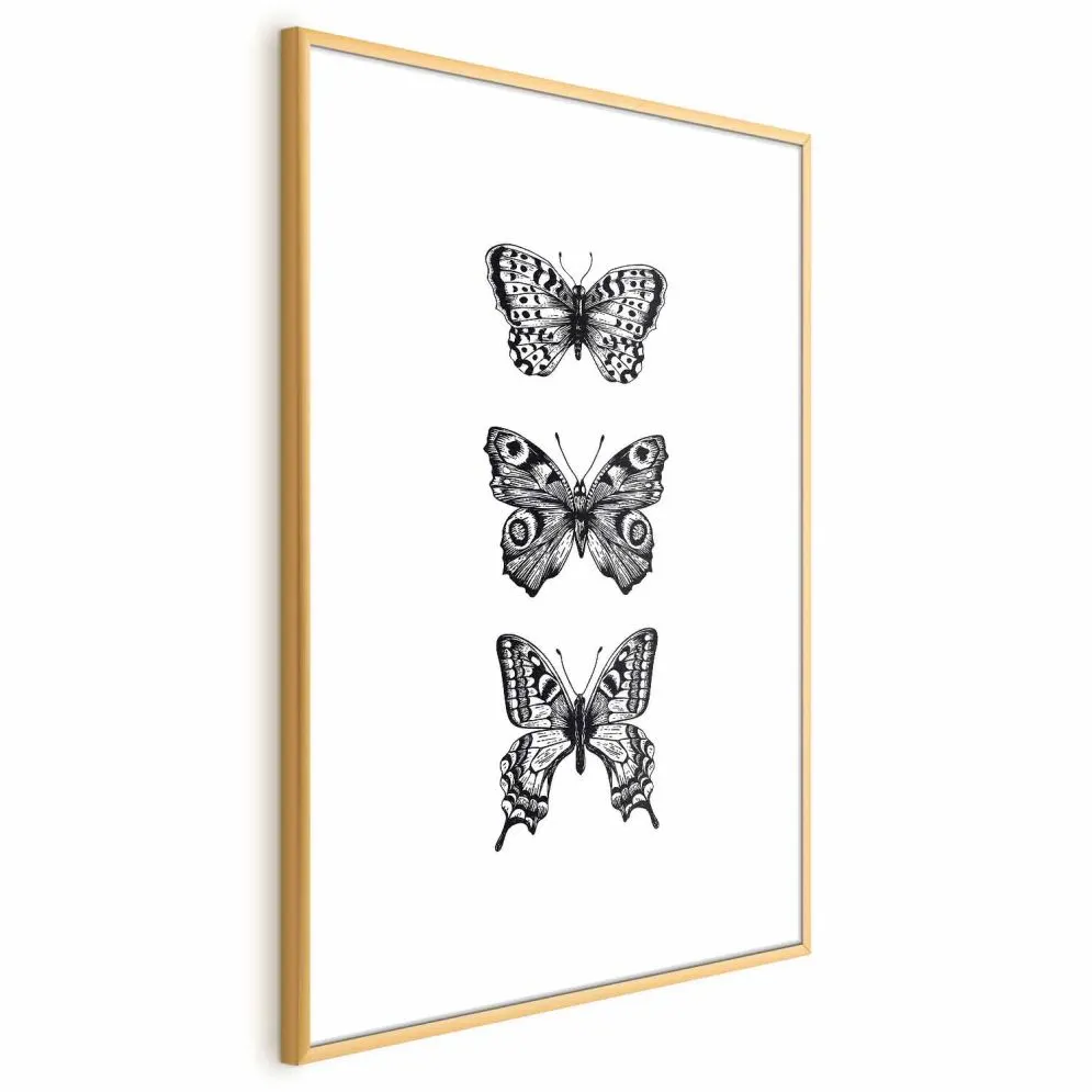 Plakat Trzy motyle 21x30 cm z ramą złotą z marginesem | MIRAT.